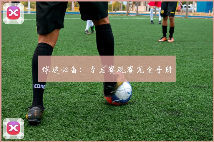 球迷必备：季后赛观赛完全手册
